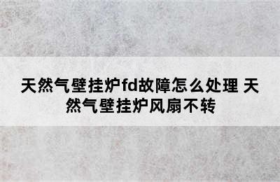 天然气壁挂炉fd故障怎么处理 天然气壁挂炉风扇不转